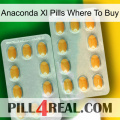 Anaconda Xl Pills Where To Buy cialis4